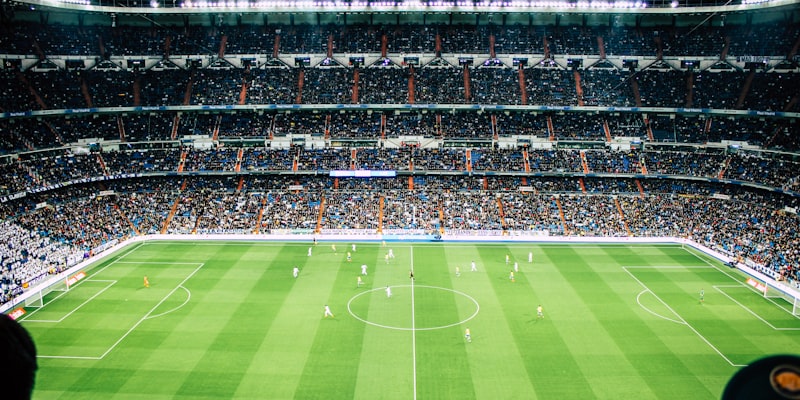 央视坚定支,持樊振东,陈梦,乐鱼体育,乐鱼体育app,乐鱼体育官网,乐鱼体育下载,乐鱼体育在线,乐鱼体育入口