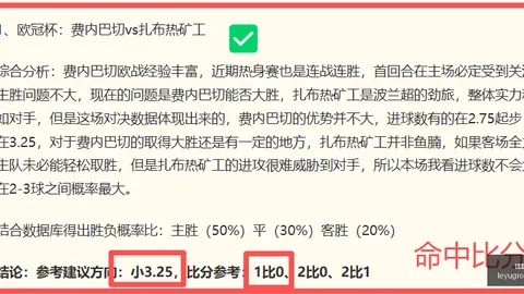 乐鱼体育 094544 17
